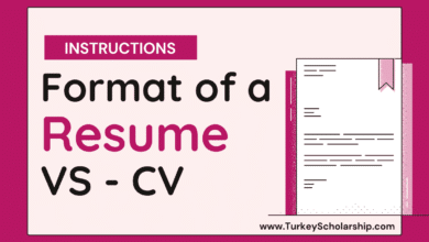 Curriculum Vitae (CV) Definition Format Elements